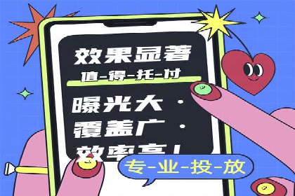 百度推广案例：精准广告投放策略解析